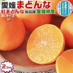 愛媛まどんな アイカ(紅まどんな同品種) 2Lサイズ 2.5kg JAの正規品(あいか/ 愛果28号) ご家庭用 バラ詰 高糖度 JA選果 紅マドンナと同じ品種 送料無料