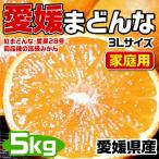 愛媛まどんな アイカ (紅まどんな同品種) 3Lサイズ 大玉 5kg JAの正規品(あいか/ 愛果28号) ご家庭用 バラ詰 高糖度 JA選果 紅マドンナと同じ品種