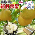  Tottori есть перевод новый . Izumi груша примерно 5kg(6~20 шар ) сахар раз 14 раз передний и задний (до и после) . для бытового использования ...... Tottori префектура производство нет подарок на Bon Festival для бытового использования подарок обычная температура рейс 