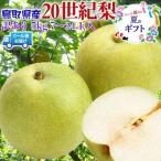  Tottori префектура производство груша 20 век груша прохладный рейс указание 5kg 7~24 шар есть перевод . для бытового использования синий груша фрукты фрукты нет десерт бесплатная доставка 