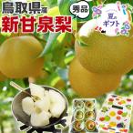  Tottori новый . Izumi груша превосходящий товар несессер 4 шар ~6 шар входить средний шар ~ маленький шар сахар раз 14 раз передний и задний (до и после) .. для ...... Tottori префектура производство нет ... подарок на Bon Festival подарок обычная температура рейс 