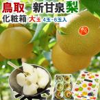  груша прохладный рейс указание Tottori префектура производство новый . Izumi груша превосходящий товар несессер большой шар 4~6 шар входить сахар раз 14 раз передний и задний (до и после) .. для ...... Tottori префектура производство нет подарок фрукты фрукты бесплатная доставка 