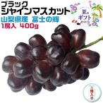 シャインマスカット 山梨県産 ブラック シャインマスカット 富士の輝 1房入 400g ぶどう マスカット フルーツ 希少品種 クール便 ギフト 予約 送料無料