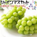  автомобиль in мускат есть перевод 2. виноград мускат всего примерно 700g для бытового использования Yamanashi префектура производство фрукты фрукты ваш заказ День почитания пожилых людей для бытового использования бесплатная доставка 