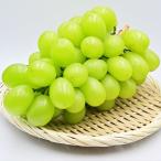  виноград Okayama префектура производство .. автомобиль in мускат 550g 1. высота сахар раз Special превосходящий Class такой же и т.п. мускат бесплатная доставка 