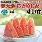  Kumamoto производство ... превосходящий товар 2L размер 2kg 1 шар входить арбуз маленький шар сон большой земля ..... Kumamoto префектура производство запад . подарок фрукты фрукты подарок на Bon Festival подарок 