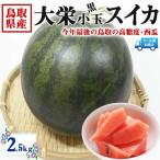 スイカ 鳥取県産 大栄すいか 黒小玉 大栄黒小玉 西瓜 すいか 2.5kg 段ボール箱入り ギフト JA糖度センサー選果済 クール便指定 敬老の日 フルーツ 果物 送料無料