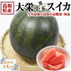 スイカ 鳥取県産 大栄すいか 黒小玉 大栄黒小玉 西瓜 2Lサイズ 4玉入 段ボール箱 入り ギフト 送料無料 JA糖度センサー選果済