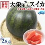 スイカ 鳥取県産 大栄すいか 黒小玉 大栄黒小玉 西瓜 3Lサイズ 1玉入 2.8kg 段ボール箱 入り ギフト クール便指定 JA糖度センサー選果済 スイカ 送料無料