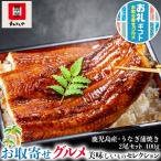 ショッピングうなぎ 父の日 ギフト うなぎ まんてんや 国産 鹿児島 うなぎ蒲焼き 2尾セット 400g 鹿児島県産 ウナギ 母の日 父の日 お中元 プレゼント 送料無料