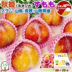  подарок на Bon Festival подарок sumomo слива персик ...... Yamanashi / Nagano / Yamagata префектура производство осень .1 коробка 7-9 шар входить .. для ... высококлассный редкий фрукты . предмет подарок подарок на Bon Festival 
