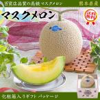 メロン マスクメロン 1玉 1.4kg めろん 贈答用 果物の王様 敬老の日 ギフト 高級品 プレミアム フルーツ お取り寄せ 記念 イベント 熨斗対応 送料無料