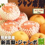 梨 なし 新高梨 ジャンボ梨 贈答用 熊本県産 1箱 約7キロ 大玉 7-10玉入り ギフト 送料無料