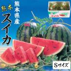  арбуз S размер Kumamoto префектура производство ...1 коробка 4kg × 2 шар комплект высококлассный ... и т.п. класс : превосходящий ( красный ).. для высококлассный запад . подарок фрукты День матери фрукты подарок 