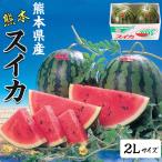  арбуз Kumamoto префектура производство 1 коробка 2L размер 7kg(×2 шар комплект всего 14kg) высококлассный .../ и т.п. класс : превосходящий ( красный ).. для подарок 