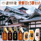 お中元 夏ギフト 道後ビール 愛媛甘とろ豚セット おつまみセット DOGO BEER ビール：ケルシュ アルト スタウト ヴァイツェン 各330ml×1本(計4本) 送料無料