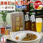 お中元 夏ギフト 道後ビール カレー 5個 セット 200g×5個 化粧箱 愛媛 クラフトビールから作ったレトルトカレー 道後温泉 Curry 送料無料