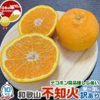 不知火 みかん 和歌山 しらぬい  10kg  訳あり M〜3Lサイズ混合 農園・生産者から出荷 バレンタイン デコポン 同品種 果物 柑橘 蜜柑 フルーツ  送料無料