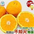 不知火 みかん 和歌山 しらぬい  10kg  秀優混合(訳あり込み)  M〜3Lサイズ混合 農園・生産者から出荷 デコポン 同品種 果物 柑橘 蜜柑 フルーツ  送料無料