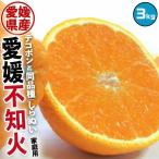 ショッピングデコポン 不知火 家庭用 柑橘 みかん 3kg 愛媛県産 M-4L サイズ混合 デコポン と 同品種 柑橘 フルーツ・みかん・ギフト 送料無料