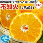 ショッピングデコポン 不知火 訳あり 3kg 1箱 愛媛県産 サイズ混合 しらぬい デコポンと同品種 送料無料