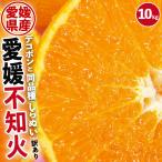 ショッピングデコポン 不知火 訳あり 10kg 1箱 愛媛県産 サイズ混合 しらぬい デコポンと同品種 送料無料