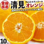 清見 オレンジ 清見タンゴール 訳あり 10kg L〜3L サイズ 愛媛県産 送料無料
