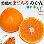 愛媛県産 まどんな みかん 約3kg 贈答用 Lサイズ15玉 愛果28号 あいか・紅まどんな 同品種｜高級柑橘 お歳暮 冬ギフト ご家庭にも 送料無料