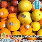 ショッピング詰め合わせ 愛媛 フルーツ 旬の 柑橘 詰め合わせ 5種以上 訳あり 5kg サイズお任せ みかん/ポンカン/伊予柑/不知火/せとか/ ほか 様々な種類の柑橘を詰め合わせ！ 送料無料