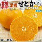 愛媛 せとか みかん 訳あり 家庭用 2kg L-4Lサイズお任せ お買得 愛媛県産  2キロ ご家庭用ギフト 送料無料