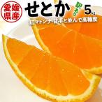 ショッピング甘平 完熟 せとか みかん 訳あり サイズお任せ 5kg 1箱 5キロ ご家庭向けギフト サイズお任せ (紅マドンナ 甘平と並ぶ高級柑橘) 出荷日お任せ 指定日不可