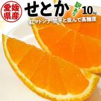 ショッピング甘平 完熟 せとか みかん 訳あり サイズお任せ 10kg 1箱 10キロ ご家庭向けギフト (紅マドンナ 甘平と並ぶ高級柑橘) 出荷日お任せ 指定日不可