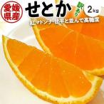 ショッピング甘平 完熟 せとか みかん 訳あり サイズお任せ 2kg 1箱 2キロ ご家庭向けギフト サイズお任せ (紅マドンナ 甘平と並ぶ高級柑橘) 出荷日お任せ 指定日不可