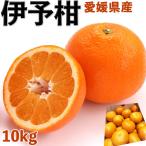 伊予柑 愛媛 柑橘 春 みかん 10kg 訳あり 2L-4L いよかん 愛媛県産 サイズお任せ 家庭用 優品 送料無料