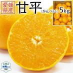 甘平 (かんぺい) みかん  5kg 愛媛  秀品 2L〜4Lサイズ  紅マドンナと並ぶ高糖度 高級柑橘 高級柑橘 出荷日お任せ 指定日不可  高級ギフト 送料無料 SMC