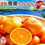 奄美 たんかん みかん 訳あり 10kg 完熟 家庭用 規格外 奄美大島産 サイズお任せ【家庭用】希少柑橘 ギフト 九州応援 南国 フルーツ 送料無料