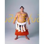 北の湖敏満関　優勝ミニ額 大相撲ミニ額 大相撲優勝額　昭和５４年１月場所 優勝 横綱 北の湖敏満関（１５回目の優勝）