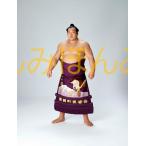 隆の里俊英関　優勝ミニ額 大相撲ミニ額 大相撲優勝額　昭和５７年９月場所 全勝 大関 隆の里俊英関（初優勝）