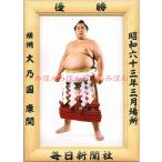 大乃国康関　優勝ミニ額 大相撲ミニ額 大相撲優勝額　昭和６３年３月場所 優勝 横綱 大乃国康関（２回目の優勝）