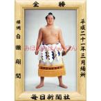 白鵬翔関　優勝ミニ額 大相撲ミニ額 大相撲優勝額　平成２１年３月場所 全勝 横綱 白鵬翔関（１０回目の優勝）