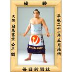 日馬富士公平関　優勝ミニ額 大相撲ミニ額 大相撲優勝額　平成２１年５月場所 優勝 大関 日馬富士公平関（初優勝）