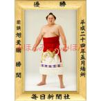 旭天鵬勝関　優勝ミニ額 大相撲ミニ額 大相撲優勝額　平成２４年５月場所 優勝 前頭 旭天鵬勝関