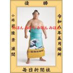 若隆景 渥 関 優勝ミニ額 令和8年5月場所
