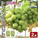  автомобиль in мускат крупный автомобиль in мускат ..2. Okayama префектура производство вид нет .. для виноград несессер premium фрукты подарок бесплатная доставка 