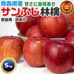  Aomori префектура производство солнечный .. яблоко 5kg есть перевод . для бытового использования размер маленький шар ( ладонь размер ) outlet пробный SDGs для бытового использования подарок фрукты Apple Apple бесплатная доставка 