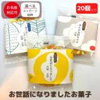 退職 転職 異動 お世話になりました お菓子 大量 プチギフト 幼稚園 保育園 お別れ会 感謝の気持ち感謝のきもち お菓子 銀座餅 20個入り 感謝の...