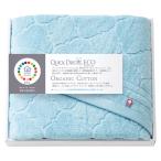 1個から注文可  cocohibi クイックドラ