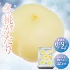 岡山県産 白桃 冬桃がたり 家庭用 6〜9玉入り 約1.5kg 岡山 もも 桃 冬桃 訳あり お徳用 おかやま 産地直送 フルーツ 送料無料 お歳暮