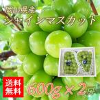 岡山県産 シャインマスカット 約600g 2房入 約1.2kg 送料無料 岡山 ぶどう 種なし ブドウ フルーツ 果物 家庭用 訳あり 敬老の日 ギフト 贈答 贈り物 手土産