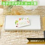【 食品 に特化 】 カタログギフト カードタイプ ( 3000 ポイント ） グルメギフカ ギフトカード 商品券 ギフトカタログ 景品 包装 ラッピング 香典返し